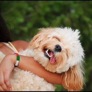 Meet your Posher, Vidhi